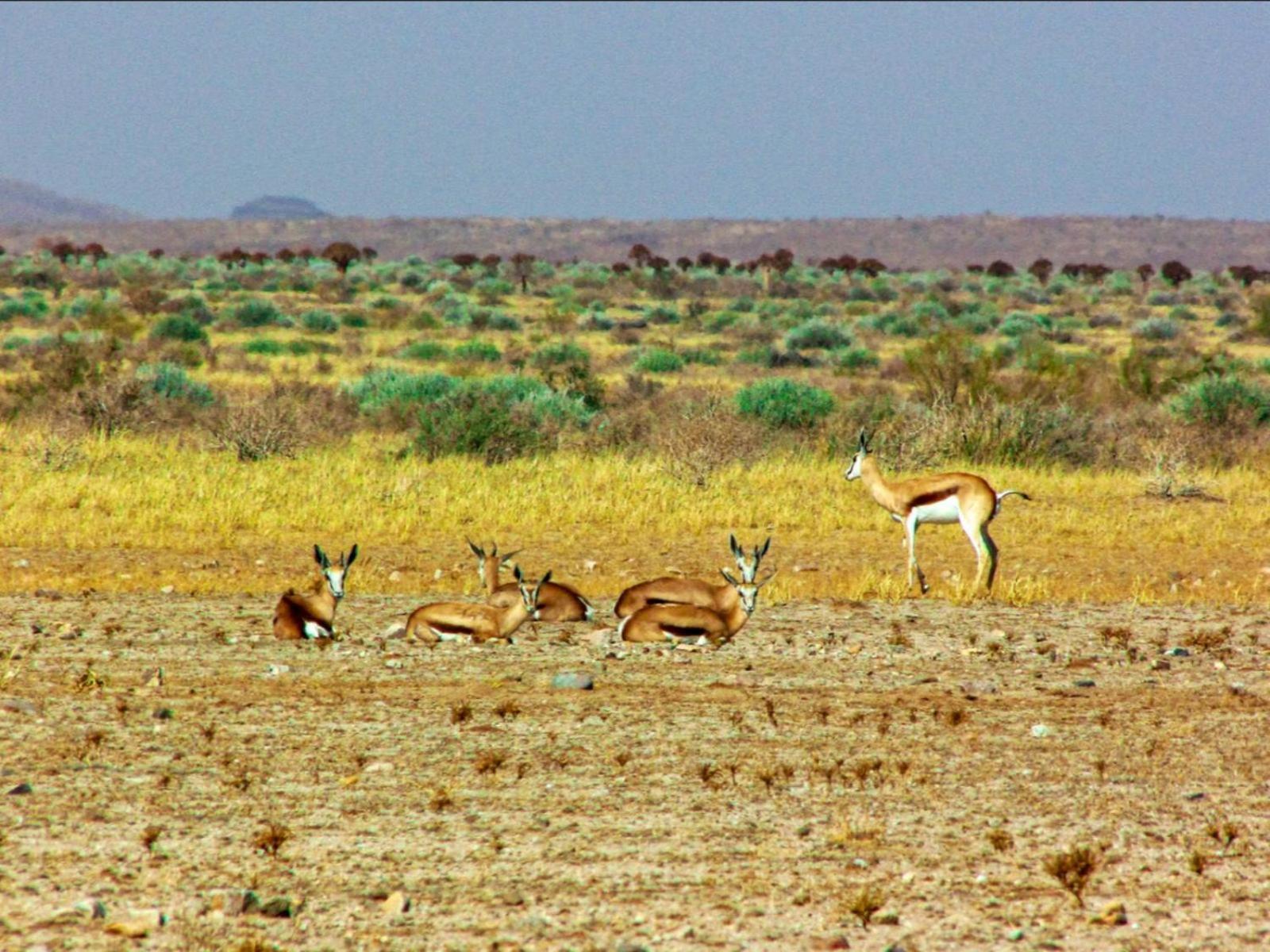 Mount Canyon Guest Farm Keetmanshoop Buitenkant foto