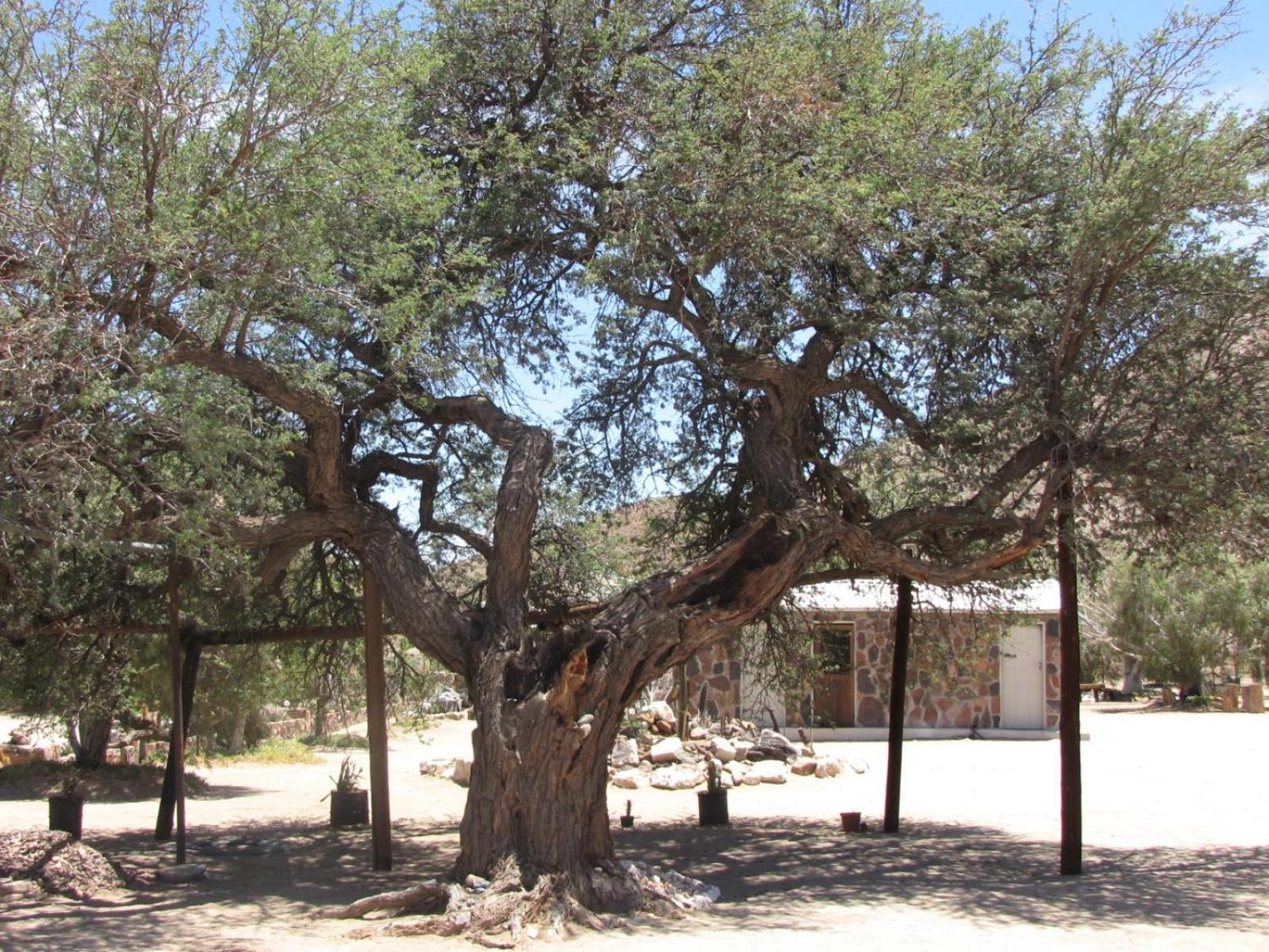 Mount Canyon Guest Farm Keetmanshoop Buitenkant foto